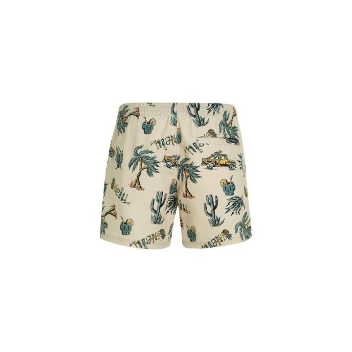Vyriški maudymosi šortai O'Neill Mix&Match Cali Print, 38 cm