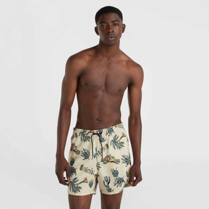 Vyriški maudymosi šortai O'Neill Mix&Match Cali Print, 38 cm