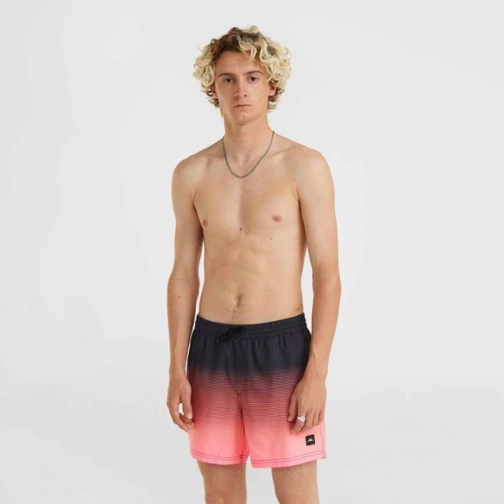 Vyriški maudymosi šortai O'Neill Jack Cali Gradient, 15 colių