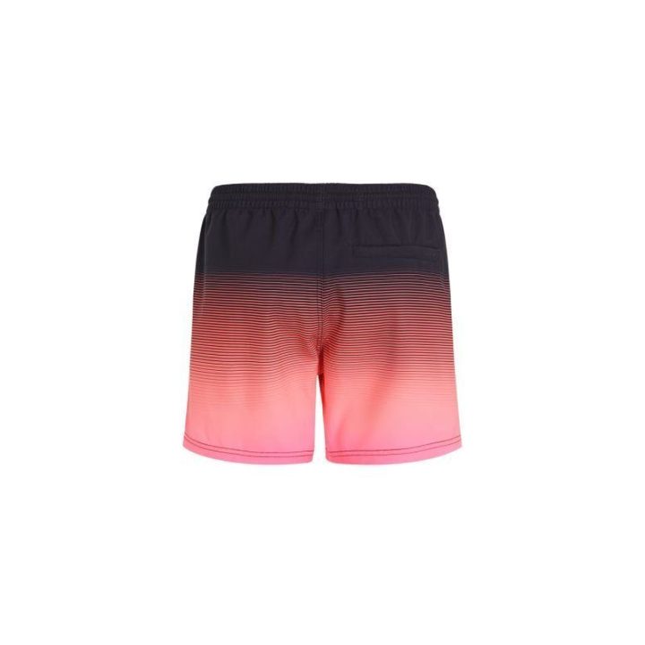 Vyriški maudymosi šortai O'Neill Jack Cali Gradient, 15 colių