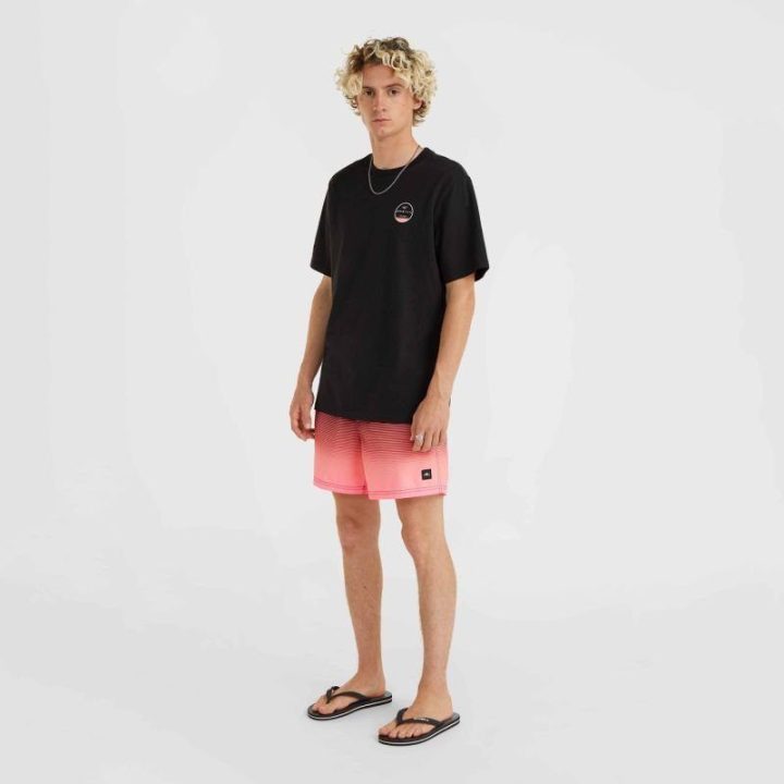 Vyriški maudymosi šortai O'Neill Jack Cali Gradient, 15 colių