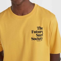 Vyriški medvilniniai marškinėliai O'Neill Future Surf Society
