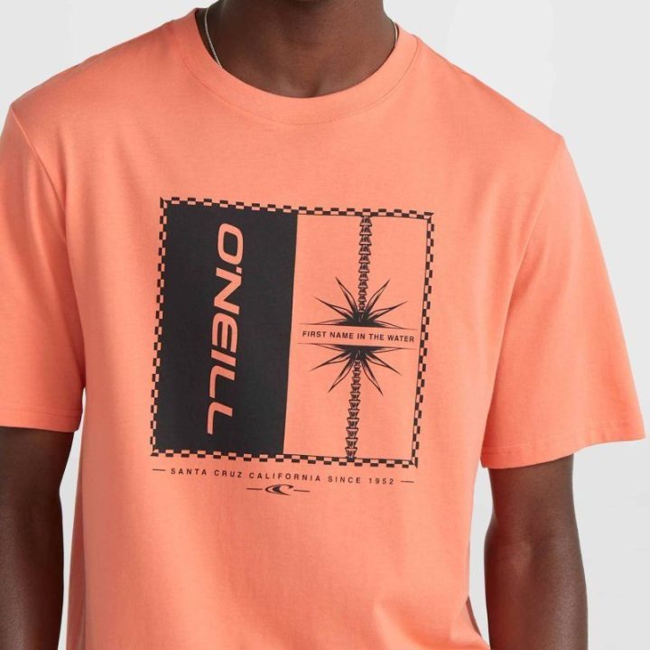 Vyriški medvilniniai marškinėliai O'Neill Mix & Match Palm