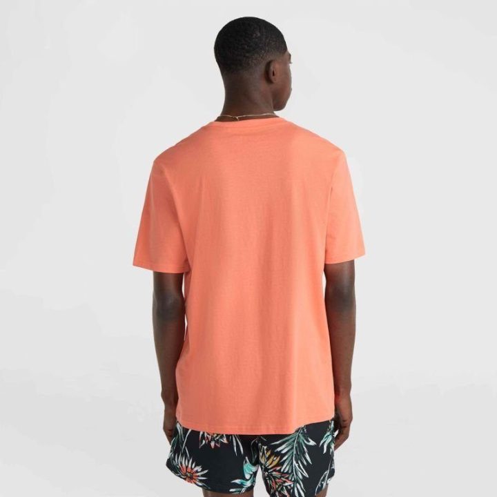 Vyriški medvilniniai marškinėliai O'Neill Mix & Match Palm