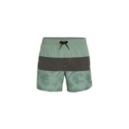 Vyriški maudymosi šortai O'Neill Mix&Match Cali Block, 15 colių