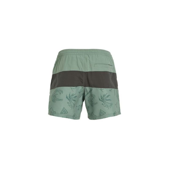 Vyriški maudymosi šortai O'Neill Mix&Match Cali Block, 15 colių