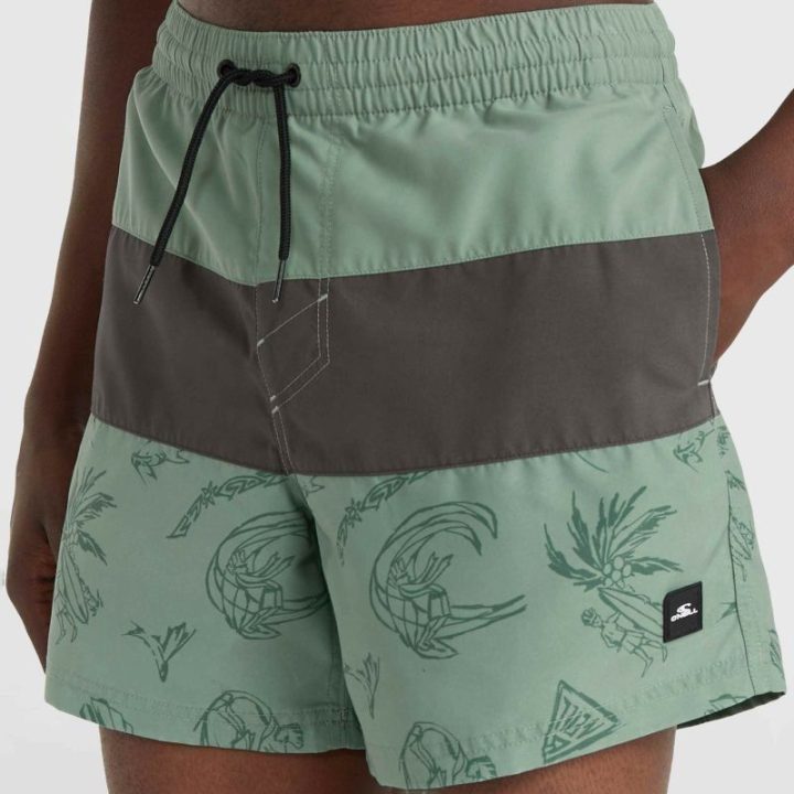 Vyriški maudymosi šortai O'Neill Mix&Match Cali Block, 15 colių