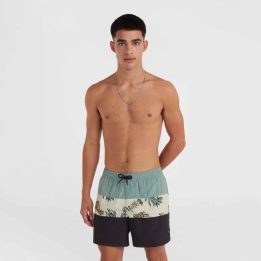 Vyriški maudymosi šortai O'Neill Mix&Match Cali Block