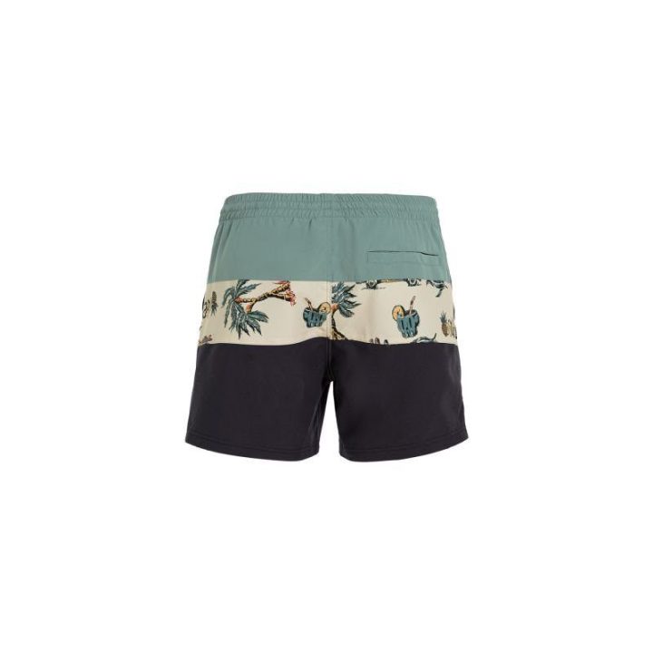 Vyriški maudymosi šortai O'Neill Mix&Match Cali Block