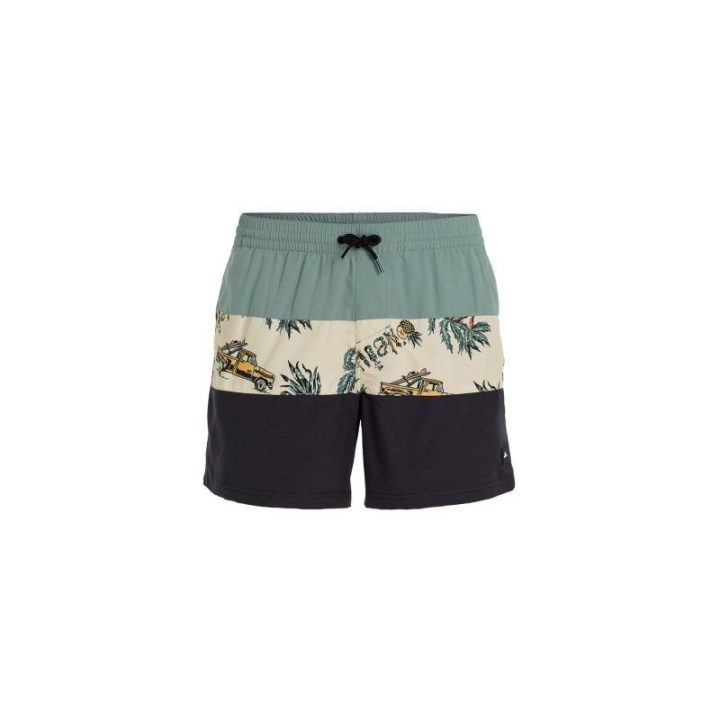 Vyriški maudymosi šortai O'Neill Mix&Match Cali Block