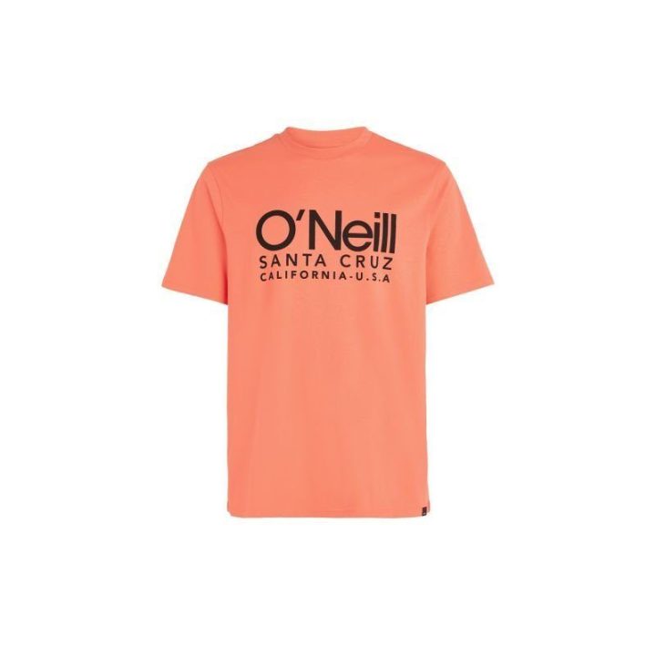 Vyriški medvilniniai marškinėliai O'Neill Cali Original
