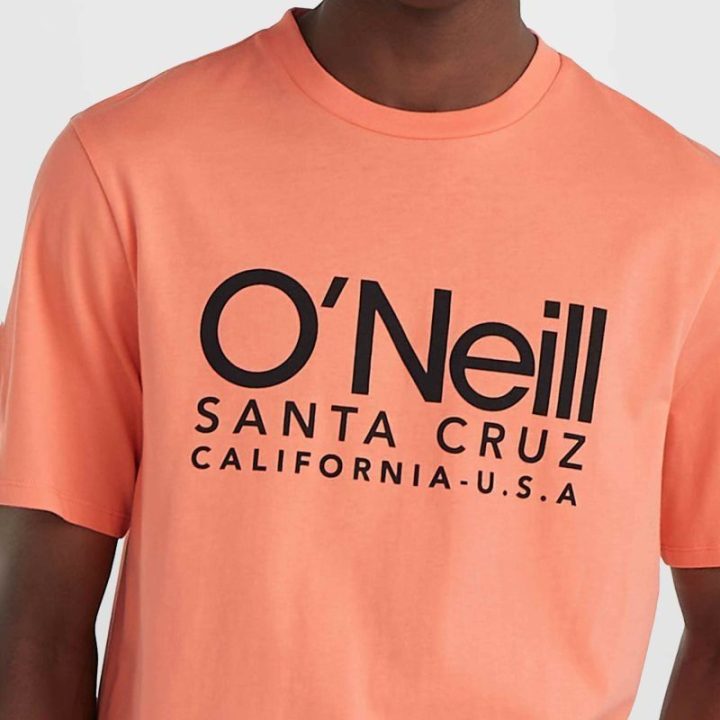 Vyriški medvilniniai marškinėliai O'Neill Cali Original