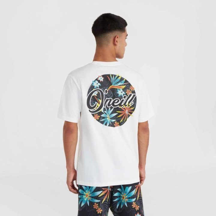 Vyriški medvilniniai marškinėliai O'Neill Beach Graphic
