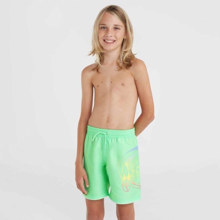 Greitai džiūstantys vaikiški maudymosi šortai O'Neill Circle Surfer