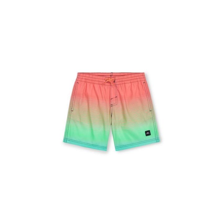 Vaikiški maudymosi šortai O'Neill Jack Cali Gradient, 36 cm