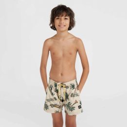 Vaikiški maudymosi šortai O'Neill Mix & Match Cali Print