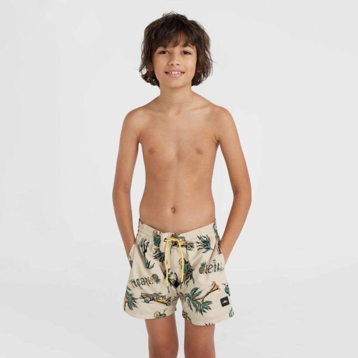 Vaikiški maudymosi šortai O'Neill Mix & Match Cali Print