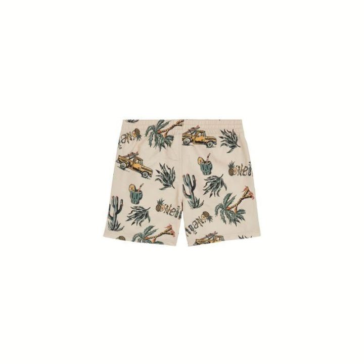 Vaikiški maudymosi šortai O'Neill Mix & Match Cali Print