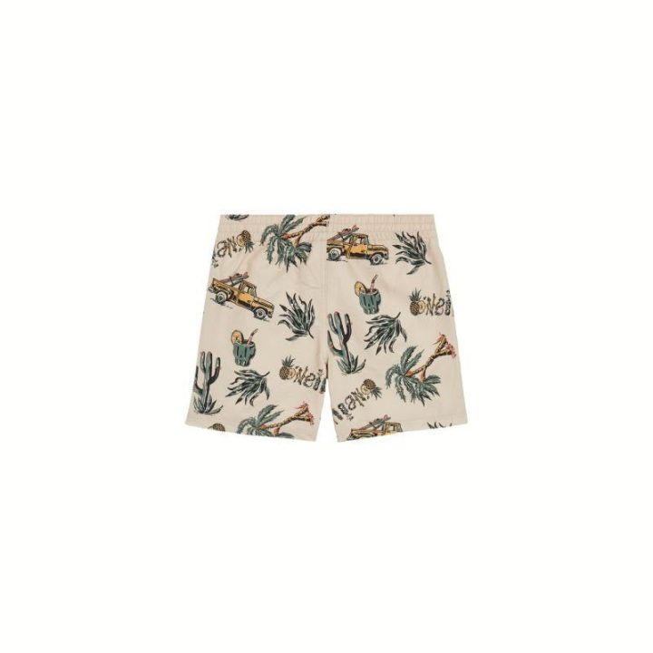 Vaikiški maudymosi šortai O'Neill Mix & Match Cali Print