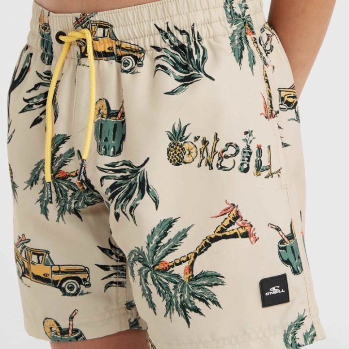 Vaikiški maudymosi šortai O'Neill Mix & Match Cali Print