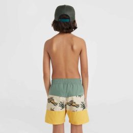 Vaikiški maudymosi šortai O'Neill Mix&Match Cali Block