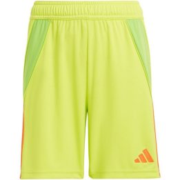 Vaikiški futbolo šortai adidas Tiro 24, raudoni
