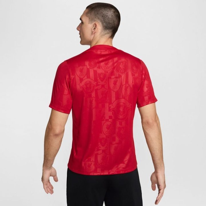 Vyriški marškinėliai Nike Liverpool FC Academy Pro, raudoni