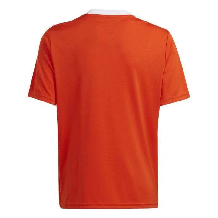 Vaikiški futbolo marškinėliai adidas Team Icon 23, oranžiniai