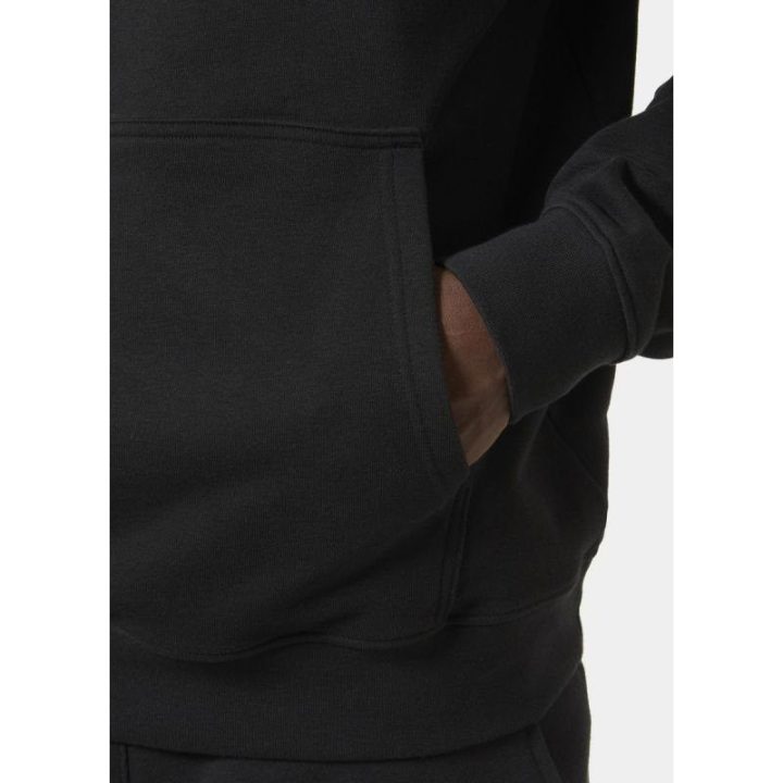 Vyriškas džemperis su gobtuvu Helly Hansen Core Graphic