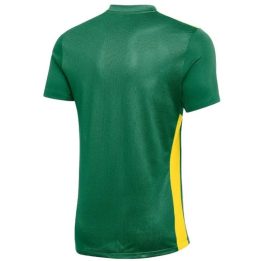 Vaikiški treniruočių marškinėliai Nike Dri-FIT Park Derby IV, žali