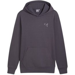Vyriškas džemperis su gobtuvu Puma Better Essentials, grafito