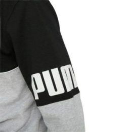 Vyriškas džemperis su gobtuvu Puma Power Full-Zip