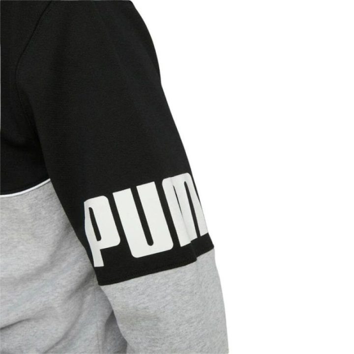 Vyriškas džemperis su gobtuvu Puma Power Full-Zip