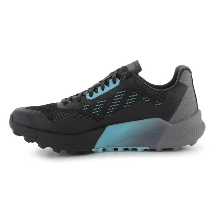 Vyriški bėgimo bekele bateliai adidas Terrex Agravic Flow 2 GTX, juodi