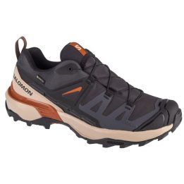 Vyriški žygio batai su GORE-TEX membrana Salomon X Ultra 360, pilki