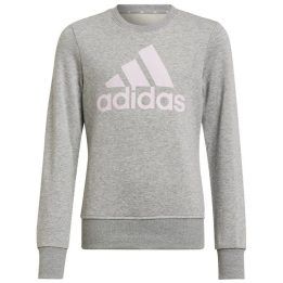 Džemperis mergaitėms adidas Big Logo, pilkas