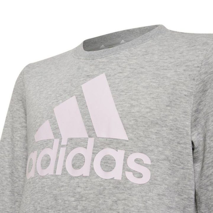 Džemperis mergaitėms adidas Big Logo, pilkas