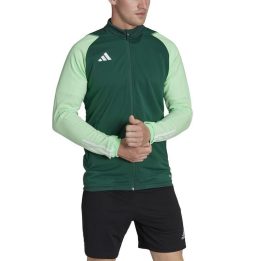 Vyriškas džemperis adidas Tiro 23 Competition Training, žalias