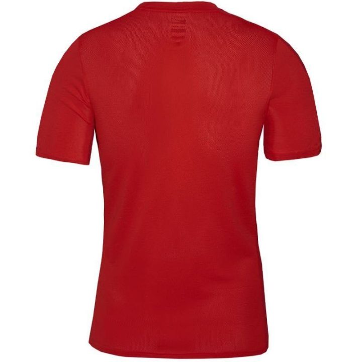 Vyriški treniruočių marškinėliai Nike Dri-FIT Academy 23, raudoni