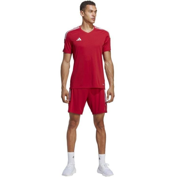Vyriški treniruočių šortai adidas Tiro 23 League, raudoni