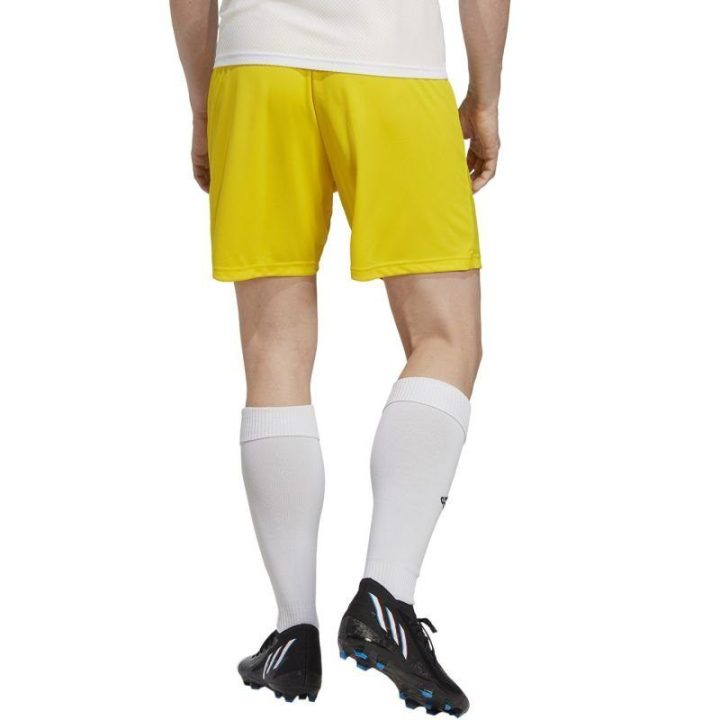 Vyriški treniruočių šortai adidas Entrada 22, geltoni