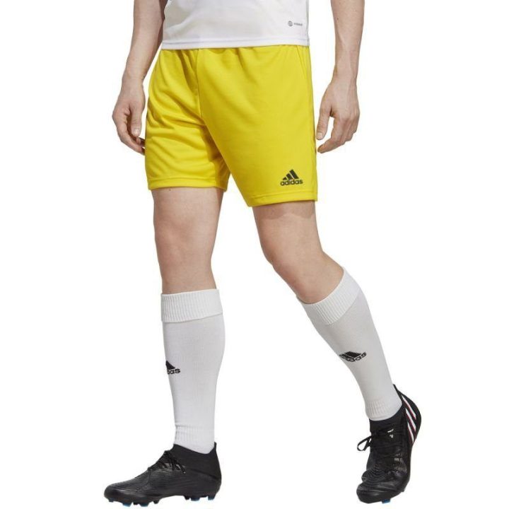Vyriški treniruočių šortai adidas Entrada 22, geltoni