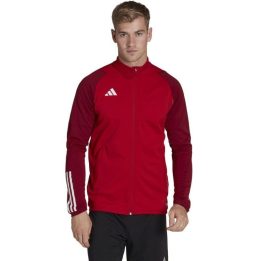 Vyriškas džemperis adidas Tiro 23 Competition Training, raudonas