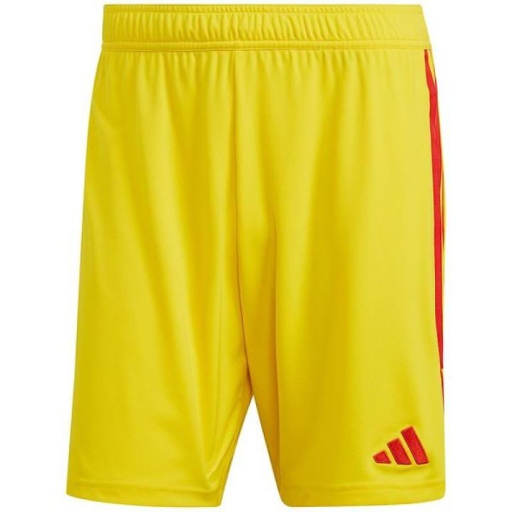 Vyriški treniruočių šortai adidas Tiro 23 League IB8091