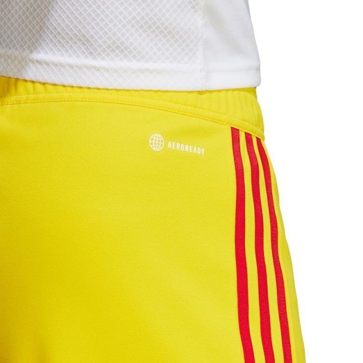 Vyriški treniruočių šortai adidas Tiro 23 League IB8091