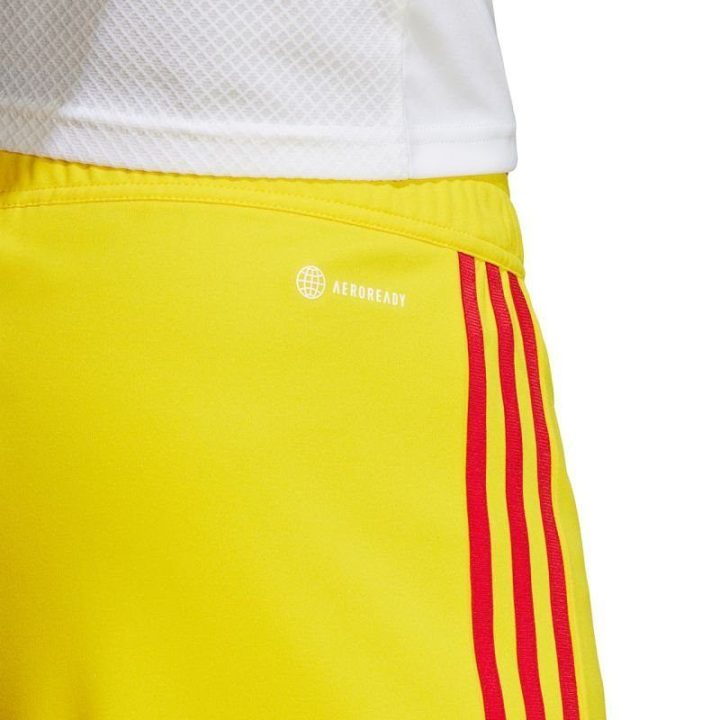 Vyriški treniruočių šortai adidas Tiro 23 League IB8091