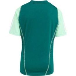Vaikiški marškinėliai adidas Tiro 23 Competition, žali