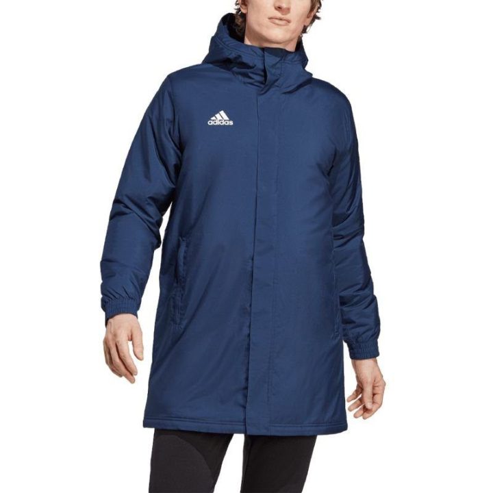 Vyriška striukė su gobtuvu adidas Entrada 22 Stadium, tamsiai mėlyna
