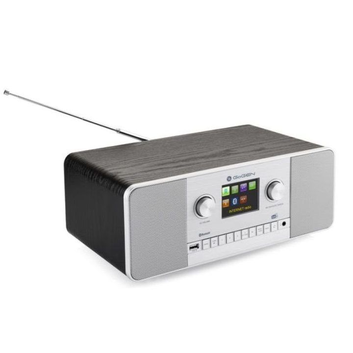 Interneto ir DAB+ radijas GoGen IR 257 BTDAB, sidabrinis