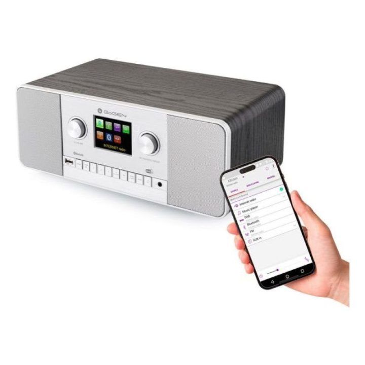 Interneto ir DAB+ radijas GoGen IR 257 BTDAB, sidabrinis